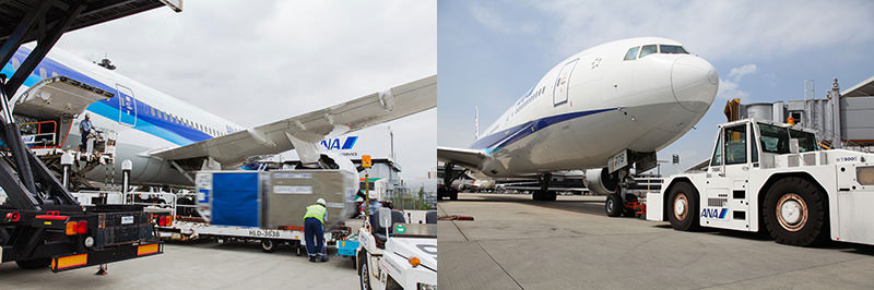 運送・貨物作業（左）、航空機のハンドリング（ANA成田エアポートサービス提供）